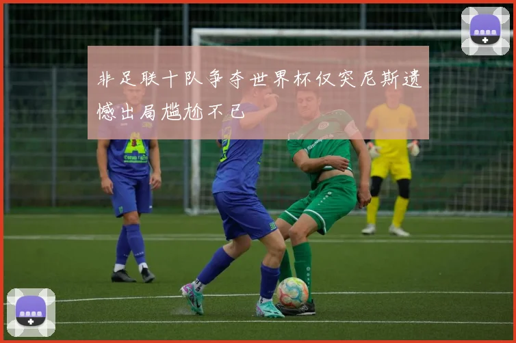 非足联十队争夺世界杯仅突尼斯遗憾出局尴尬不已